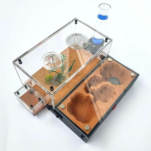 DIY Acryl Ameisenfarm Gips Formicarium Ameisennest Ameisen Haus Villa Insekt Haustier Ameisen Zucht Box Ameisenhaufen Werkstatt Ant Nest Ant Farm (Color : C)-1 von XENITE