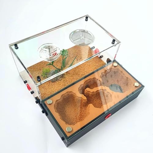 DIY Acryl Ameisenfarm Gips Formicarium Ameisennest Ameisen Haus Villa Insekt Haustier Ameisen Zucht Box Ameisenhaufen Werkstatt Ant Nest Ant Farm (Color : C)-1 von XENITE