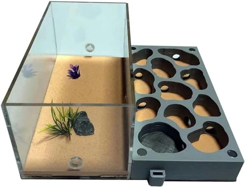 Großes Ameisennest Acryl Ameisenfarm Ameisen Haus Beton Insektenvilla Ameisenhaufen Ant Nest Pet Farmen Kit Formicarium Display Box Wissenschaft Bildungs-1 von XENITE