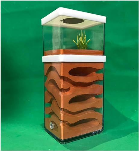 Transparentes Ameisenfarm AntHouse Ameisennest Gips Ameisen Haus Beton Insekt Villa Ameisenhaufen Ant Nest Pet Farmen Kit Formicarium Display Box-1 von XENITE