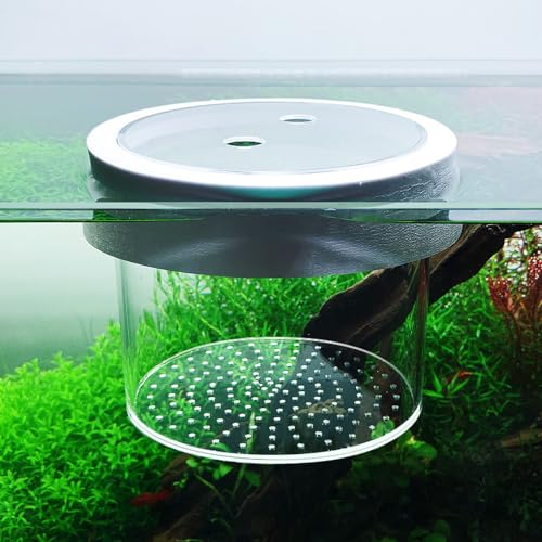 Aquarium-Züchterbox zum Aufhängen, Acryl, Aufhängung, Isolation, Bruthaus, Futterboxen für kleine Fische von XEOGUIYA