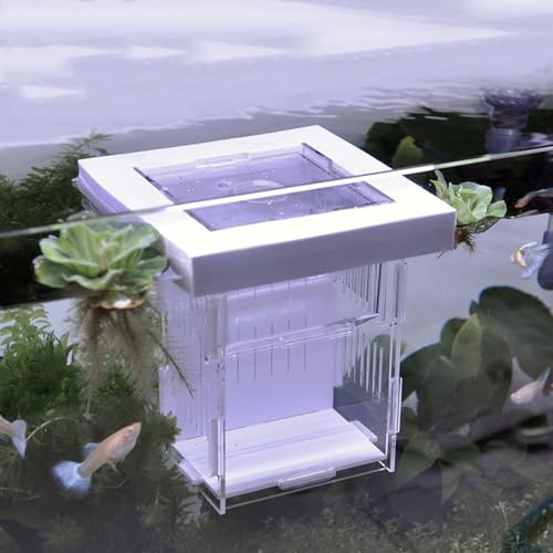 Schwimmende Isolierbox für Aquarien von XEOGUIYA