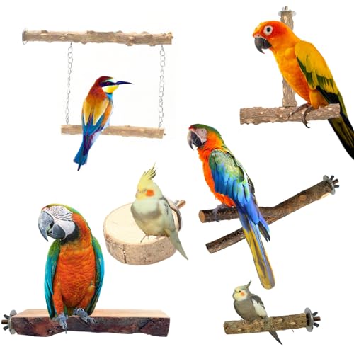 6 Stück Vogelständer verbessern das Lebenserlebnis von Vögeln mit vielseitigem Ständer, leicht zu reinigen, perfekt für Vogel Lebensraum Vogel Papageien Schaukelspielzeug Vogelspielzeug Schaukel von XEYYHAS
