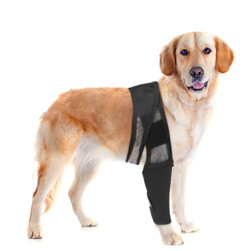 XEYYHAS Oberschenkelschutz für Hunde, bietet bequeme Passform und verstellbare hochwertige Materialien, Hunde-Beinbandage zum Lecken von Hunden, Beinbandage für Verletzungen, Hundebeinbandage für von XEYYHAS