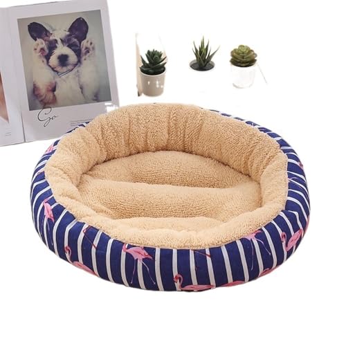 XFYESL Hundematte Hundebett Katzenbett Teddy Kleine und mittelgroße Hunde Warmes Haustierbett Hundebett Hundebett Hundebett(Grape Purple) von XFYESL