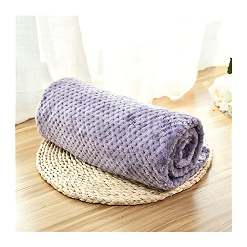 XFYESL Hundematte Katzenschlafmatten Welpenüberwurf Warme Dünne Betten Kissen Weiche Bezüge Haustierdecken Für Hunde Katzen Matratzen Hundebett(Purple,S 60x40cm) von XFYESL