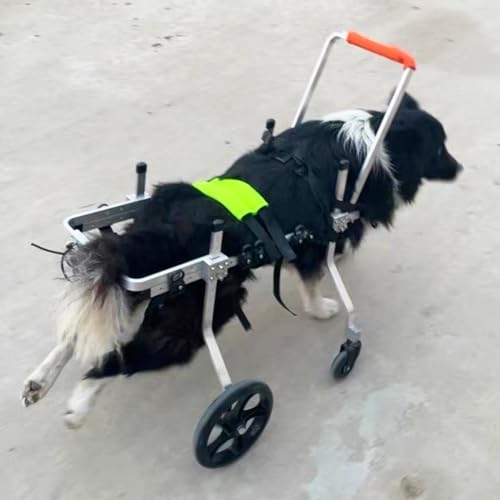 Hunderollstuhl, Behinderte, verletzte, lahme Hunderollstühle/Stützhilfe for die Vorder- und Hinterbeine, verstellbarer Hunderollstuhl, leichter Haustier-Fahrradanhänger, Hundewagen, extra groß(Size S) von XGXGX