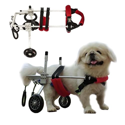 Hunderollstuhl, Hunderollstuhl for kleine Rassen for die Hinterbeine, verstellbarer behindertengerechter Hundewagen mit Rädern, XXS/XS/S/M/L Hunderollstuhl zur Wiederherstellung der Mobilität(Red,Size von XGXGX