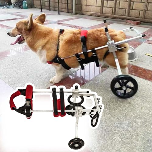 Hunderollstuhl, Rollstühle for kleine Hunde mit gelähmter Behinderung, leichte Mobilitätshilfe for Haustiere/Rollstuhl for ältere Katzen, Stütze for die Hinterbeine des Hundes mit Geschirr und Rädern( von XGXGX