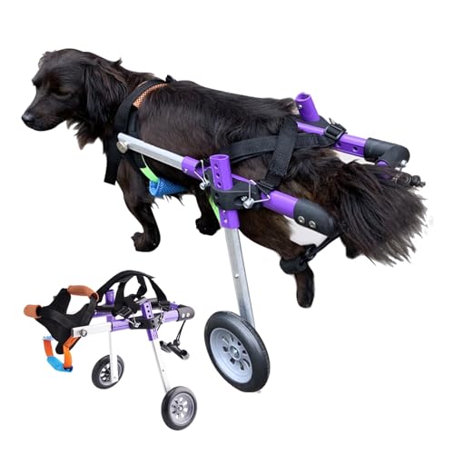 Hunderollstuhl, verstellbarer Hunderollstuhl for die Hinterbeine, kleine Hundewagen mit Rädern, Beinstütze for ältere Hunde zur Wiederherstellung der Mobilität, Rollstühle for Haustiere und Katzen(Siz von XGXGX