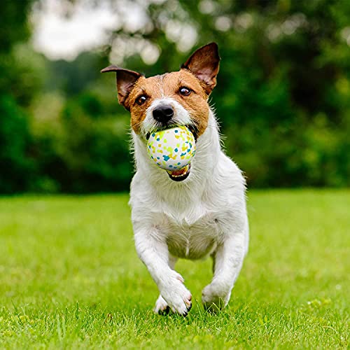 XGYLVFEI Leichter Hundeball zum Werfen, unzerstörbarer Hundeball Spielzeug für große, mittelgroße Hunde und Welpen, Hundebälle für Wasser, Springen, Apportieren, Werfen und so weiter (grüne Punkte) von XGYLVFEI