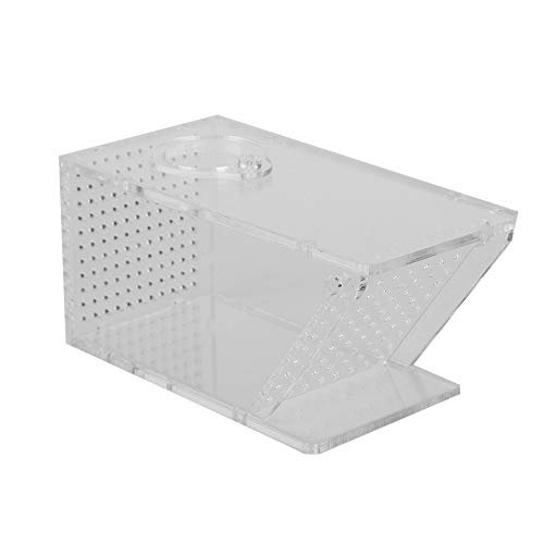 XHTLLO Acrylic Aquarium Fish Container Freshwater Crab critter Trap Catcher Box, Transparent One Way Trap for Catching Crabs, Shrimp, Small Water animals von XHTLLO