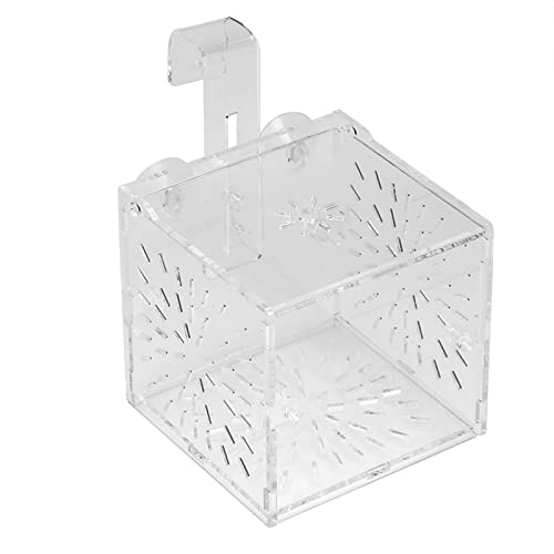 XHTLLO Fischzuchtbox, Transparente Acryl-Fischzisternen-Zucht-Isolationsbox, Aquarium-Brüterei-Inkubatorhalter Für Die Fischzucht Und -Isolierung(10CM*10CM*9.8CM) von XHTLLO