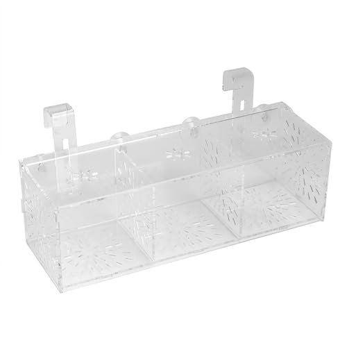 XHTLLO Fischzuchtbox, Transparente Acryl-Fischzisternen-Zucht-Isolationsbox, Aquarium-Brüterei-Inkubatorhalter Für Die Fischzucht Und -Isolierung(30CM*10CM*9.8CM) von XHTLLO