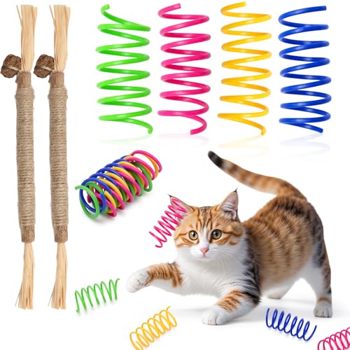 XIANGLONGY 40 Stück Katzenspielzeug Spirale + 2 Stück Katzenminze Stick, Buntes Interaktives Spielzeug für Katzen, Kunststoff Katzenspielzeug Spiralfeder, Spiralen Katzen für Haustiere zum Spielen von XIANGLONGY