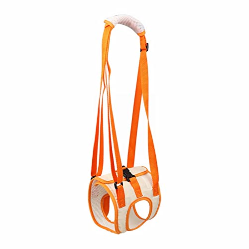 Fettleder Halsband Zugstopp Tragbare Hundehebeband für vordere Beine Heben Gurt Assistent Gürtel für Hilfe Petheber für ältere Hunde Gelenkverletzungen Hundehalsband Silber (Orange, L) von XIAOTUZ