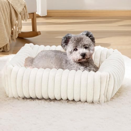 XIAPIA Katzenbett Flauschig Washbar 63x53x18 cm, Plüsch Katzen Schlafplatz Weich und Warm für Katzen Kleine Hunde, Orthopädisches Kuschelbett mit Rutigfester Boden Weiß von XIAPIA