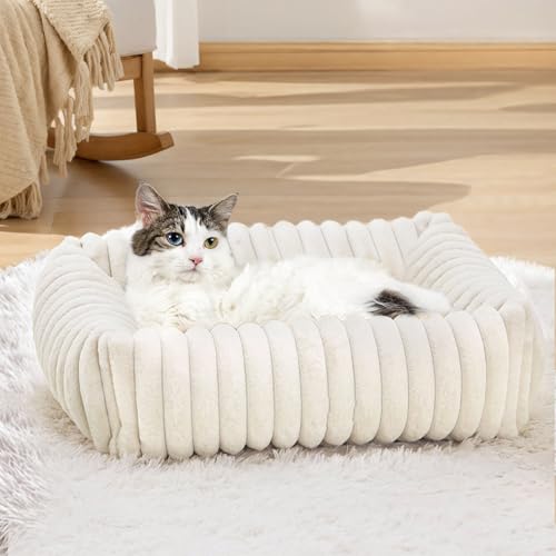 XIAPIA Katzenbett Flauschig Washbar 50x48x15 cm, Plüsch Katzen Schlafplatz Weich und Warm für Katzen Kleine Hunde, Orthopädisches Kuschelbett mit Rutigfester Boden Weiß von XIAPIA