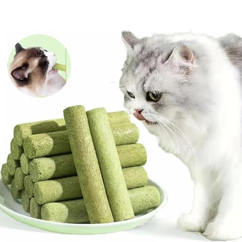 XIBHDN Berdexa Cat Grass Teething Sticks, Cat Teeth Cleaning Cat Grass Stick, Chew Sticks for Cats for Increase Appetite and Hairball Removal, for Indoor Cats (100pcs) von XIBHDN