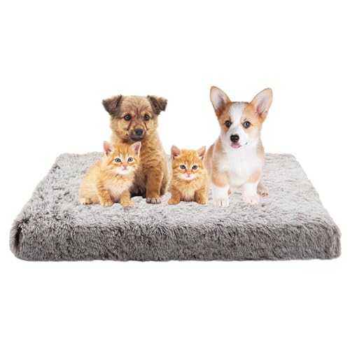 Hundebett Katzenbett, Hundekissen für Große Mittelgroße Hunde, Waschbar Hundesofa Haustierbett, Orthopädisches Hundekorb Antistress Kuschelig Hundekissen, Rutschfestes Haustierbett(50x40x5cm) von XIEMINLE