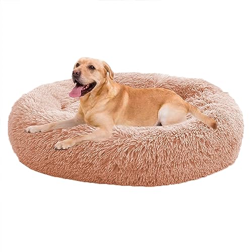 XIEMINLE Donut Calming Pet Bed Calming Donut Puppy Bed, Dog Sofa Bed for Small/Medium/Large Dogs, Round Plush Dog Bed with Non-Slip Bottom, Donut Pillow Bed Cuddler Dog Bed von XIEMINLE