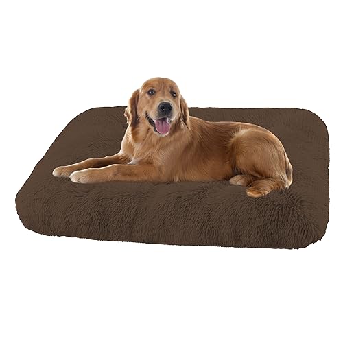 XIEMINLE Grosse Hundebett Orthopädisches Hundebett, Maschinenwaschbar Hundekissen Hundesofa, Katzenschlafplatz für Katzen und Hunde, Haustier Hundebetten Katzenbetten mit Anti-Rutsch(65x48x8cm) von XIEMINLE