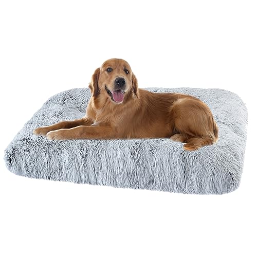 XIEMINLE Grosse Hundebett Orthopädisches Hundebett, Maschinenwaschbar Hundekissen Hundesofa, Katzenschlafplatz für Katzen und Hunde, Haustier Hundebetten Katzenbetten mit Anti-Rutsch(78x55x10cm) von XIEMINLE