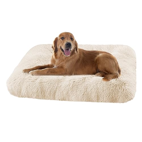 XIEMINLE Grosse Hundebett Orthopädisches Hundebett, Maschinenwaschbar Hundekissen Hundesofa, Katzenschlafplatz für Katzen und Hunde, Haustier Hundebetten Katzenbetten mit Anti-Rutsch(78x55x10cm) von XIEMINLE