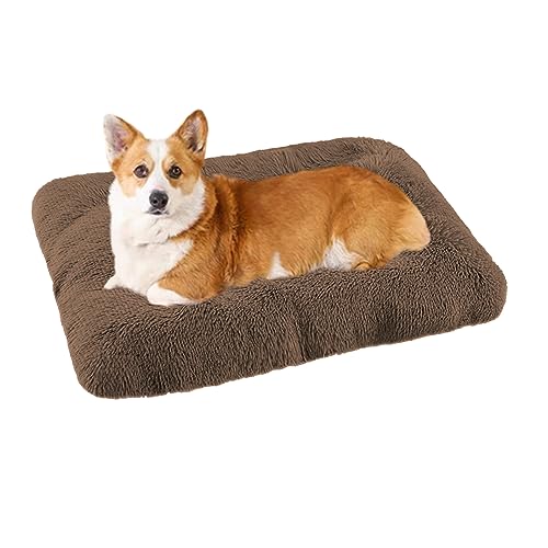 XIEMINLE Großes Hundebett, waschbar, beruhigendes Hundebett mit rutschfester Unterseite, Plüsch-Hundematte, Hundematratze, orthopädisches Hundesofa mit abnehmbarem Bezug, 75 x 50 x 7 cm, Khaki von XIEMINLE