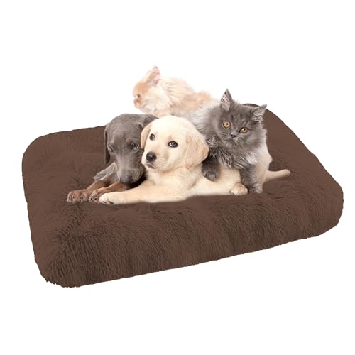 XIEMINLE Orthopädisches Hundebett Katzenbett, Waschbar Hundekorb Hundekissen Hundesofa für große, mittelgroße & kleine Hunde, Anti-Angst Hundebett, Katzenschlafplatz für Katzen und Hunde(65x48x8cm) von XIEMINLE