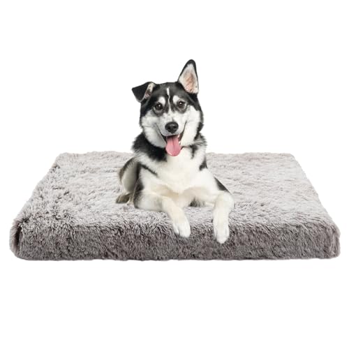 XIEMINLE Orthopädisches Hundekissen Haustierbett, Anti-Angst Haustier Hundebetten für Mittelgroße Hunde, Plüsch Katzenbett Hundesofa, Abnehmbar und Waschbar Hundekorb Zwinger-Auflage(100x60x10cm) von XIEMINLE