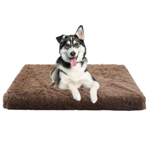 XIEMINLE Orthopädisches Hundekissen Haustierbett, Anti-Angst Haustier Hundebetten für Mittelgroße Hunde, Plüsch Katzenbett Hundesofa, Abnehmbar und Waschbar Hundekorb Zwinger-Auflage(120x80x10cm) von XIEMINLE