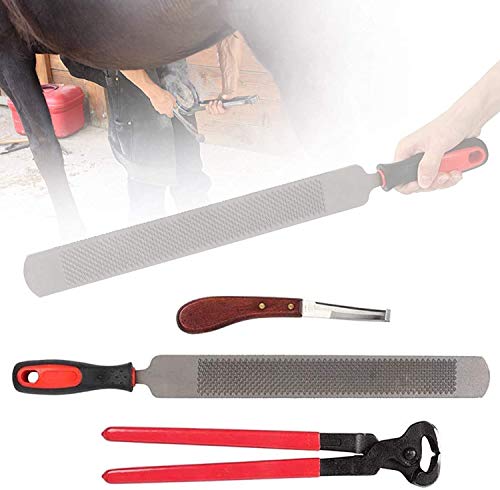 XINGSHANG Farrier Huftrimmwerkzeug-Set, 4-teilig, robuste Hufzangen mit Griffen, Hufzange, Raspelgriff, Miniaturpferde, Hufschneider, von XINGSHANG