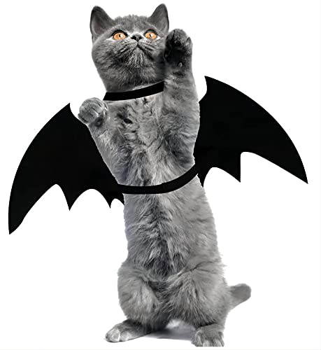 Katze Halloween Kostüm, Halloween Fledermaus Flügel Kostüm für Haustiere, Welpe Halsband Leinen Cosplay Fledermaus Kostüm, Halloween Party Dekoration von XINHAO