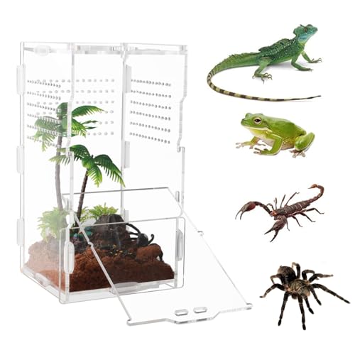 Springspinnengehege, Eidechsengehege, Vogelspinnen-Gehege, für Arboreal Tarantel, Schlinge, Eidechsen, Schlange, Gecko, springende Spinne, Schnecke, Insekten, Isopoden, 10,2 x 10,2 x 20,3 cm von XINYUDA