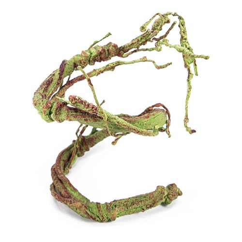 XITEA Realistische Rebe für Terrarien, Dekoration, Reptilien, Aquarien, Szene, zeigt Zweig für Amphibien, Haustier-Lebensraum, Landschaftsrequisiten XITEA Realistische Rebe für Terrarien, Dekoration, Reptilien, Aquarien, Szene, zeigt Zweig für Amphibien, Haustier-Lebensraum, Landschaftsrequisiten von XITEA