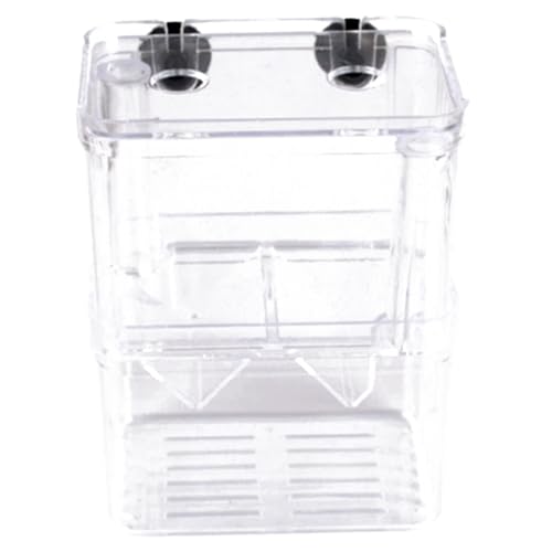 Aquarium Fish Tank Hatchery Inkubator Zuchtbox, Züchterbox für Fischtank 2 Fach -Isolationsbox für Aquarium mit Saugnapfbecher und Fütterungsanschluss transparent von XJKLBYQ