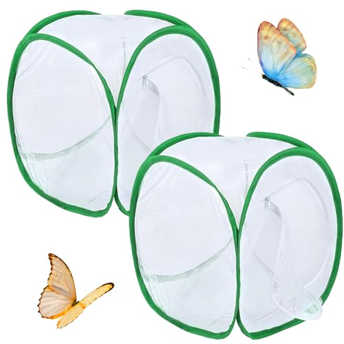 Butterfly Cage 2pcs Schmetterlingslebensraum Cage 12x12x12 '' Faltbare Schmetterlingshaus Schmetterling Garten Popup Mesh Zelt Net Raupen für Butterfly Kit, Butterfly Cage Cage von XJKLBYQ