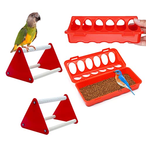 Chick Starter Kit enthalten Chicken Feeder Chick Perch Chicken Supply für Hühnerkoop -Zubehör 4pcs von XJKLBYQ