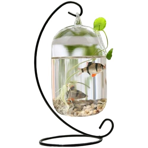 Fischschale, klarer Wandfischtank mit schwarzem Stand Fisch Kleiner Tischglas Betta Fischtank kreatives Vase -Aquarium für Home Office Dekoration von XJKLBYQ