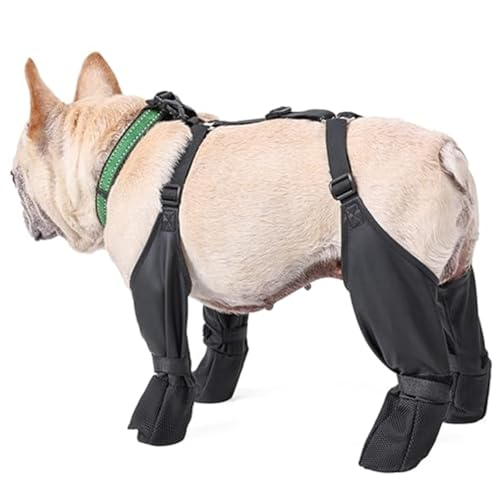 XJKLBYQ Hundeschuhe, wasserdichte Hundestiefel mit rutschloser Sohle, schmutziger Anti-Fall-Hundepfotenschutz mit verstellbarem Hilfsgurt für Gehen im Freien im Freien Laufen von XJKLBYQ