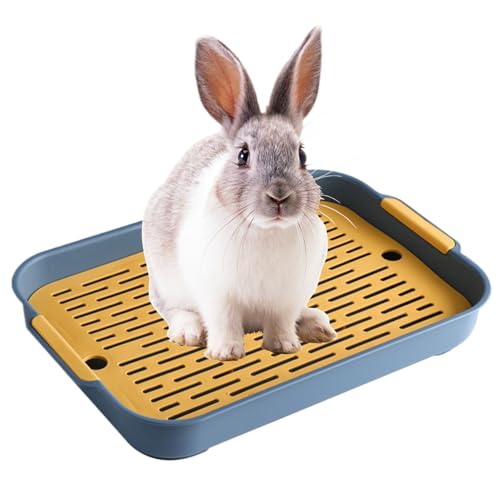 Kaninchendrüsenbox-Trainer, 2-stufige Töpfchen-Ecktoilette, Plastik rechteckige Hasen-Haustier-Toilette, Töpfchen-Trainer Bettwäsche-Box für Ratten, Katze, Frettchen, Hasen/9,7x14.4x2-Blau von XJKLBYQ