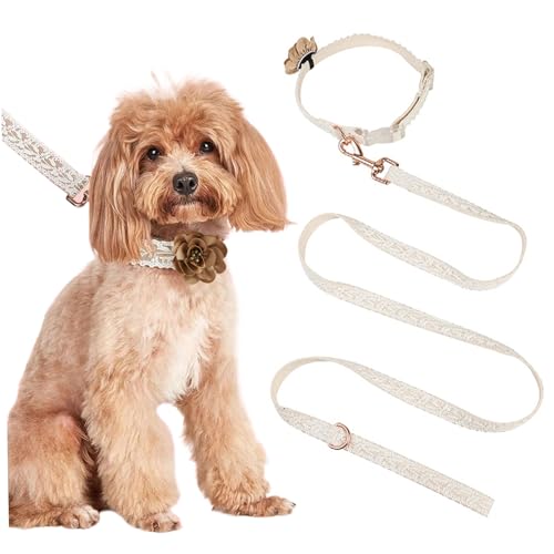 Leine und Kragen Set | Hundehalsband und Leine -Set Mode Fall Hundekragen mit Einer Blumenkunst gestickt Spitzenhundkragen Personalisierte Hundehörer mit Verstellbarer Leine für kleine mittelgroßen g von XJKLBYQ