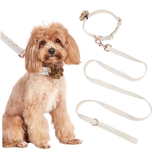 Leine und Kragen Set | Hundehalsband und Leine Set Mode Herbsthundkragen mit Einer Blumenkunst gestickt mit Spitzenhundkragen Personalisierte Hundekragen mit Verstellbarer Leine für kleine mittelgroß von XJKLBYQ