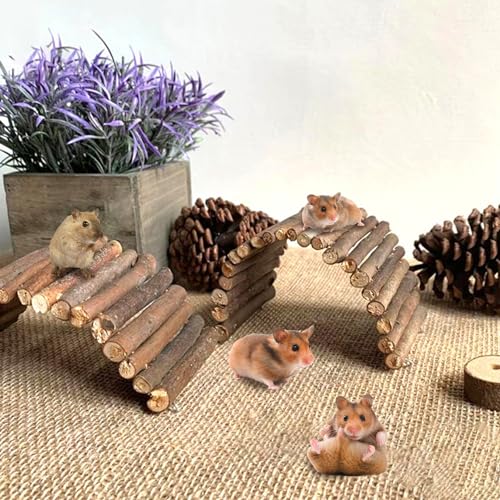 Meerschweinchen -Tunnel, hölzerne Hasenleiterbrückenkaninchen aus Versteck, Haus, Tunnel, Nagetieren kauen Spielzeug für Meerschweinchen, Chinchillas, Igel, Frettchen, Ratten und kleine Tiere m von XJKLBYQ