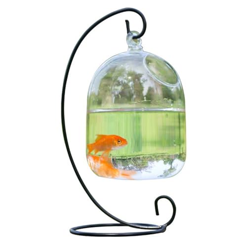 Schreibtisch Hanging Fish Tank Bowl mit Ständer, Hängefischschüssel mit Ständer, transparente Mini-Fischtankschale, Platz sparende undurchlässige Bauglas-Vase-Aquarium für Zuhause, Bürozubehör von XJKLBYQ