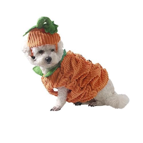 XJKLBYQ Hunde Halloween Kostüm, Halloween -Hundesoutfits mit Kürbishut für kleine mittelgroßen großen Hund - M. von XJKLBYQ