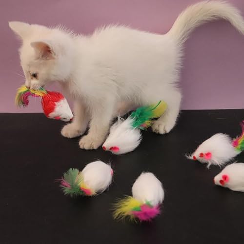 XJPXFQ 1 stücke Katzenspielzeug Interaktives süßes weiches Fleece Falsche Maus Bunte Feder Lustiges Spielspielzeug for Katzen Kätzchen Heimtierbedarf(5pcs) von XJPXFQ