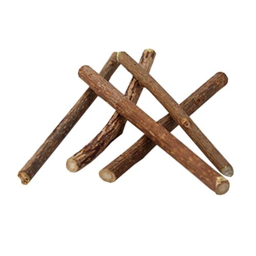 XJPXFQ 15/20 Stück Silvervine Sticks for Katzen, natürliche Katzenminze, Kausticks, Haustier-Katzen, Kätzchen-Snacks, Zähne, Molaren, Kauspielzeug, Stick(15pcs) von XJPXFQ