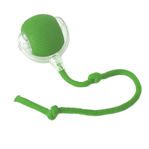 XJPXFQ Elektrisches Katzenballspielzeug, automatischer rollender Ball, Kunstschwanz, intelligentes Haustier, interaktives Spielzeug, Hunde- und Katzentraining, USB wiederaufladbar(Style 1 Green) von XJPXFQ